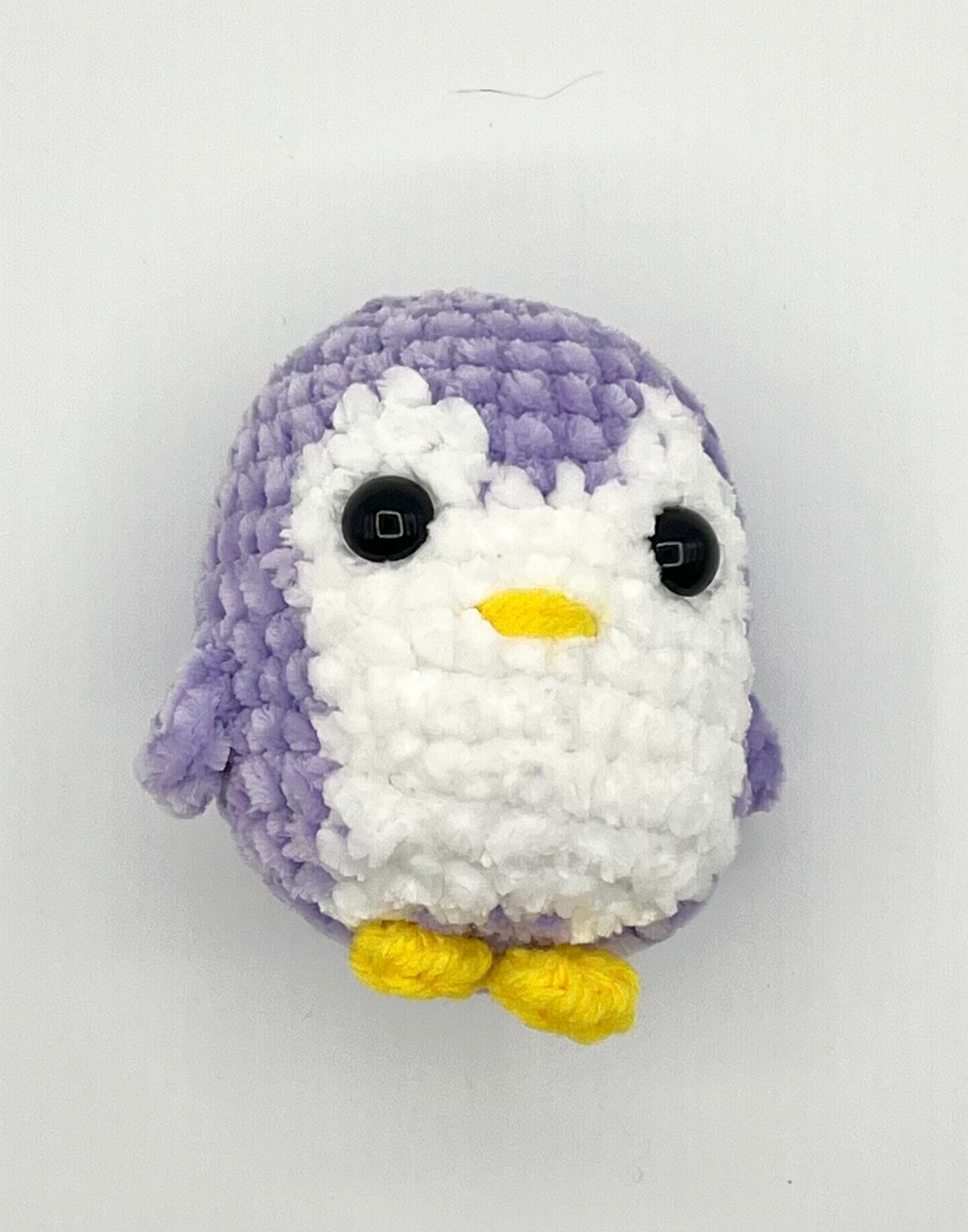Paige the Penguin
