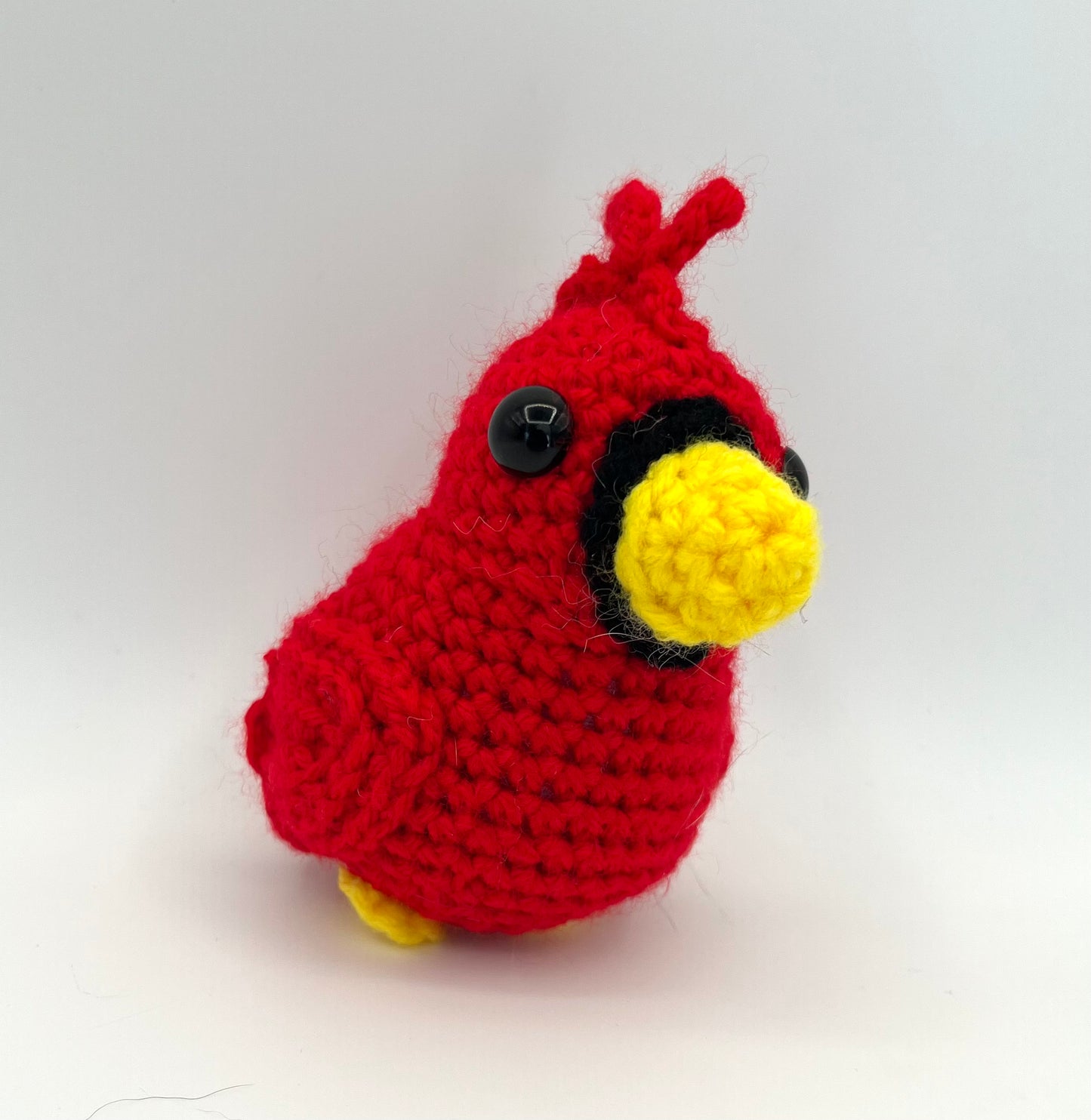 Calvin the Cardinal